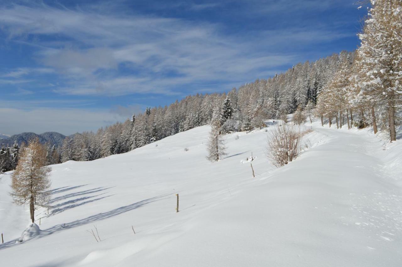 Chalet Serena Roncegno Bagian luar foto